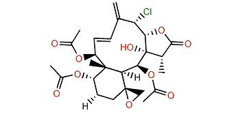 Fragilolide D